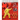 Tai Chi for Health: The 24 Simplified Forms