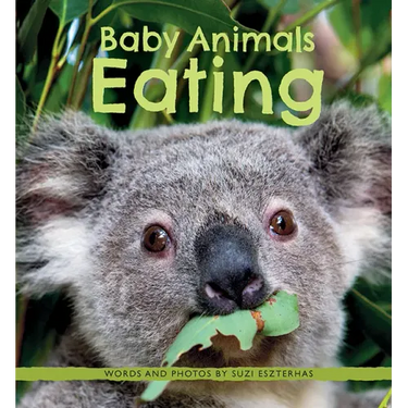 Baby Animals Eating