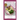 Lipedema Diet: Lipedema Diet And Cookbook For Beginners