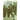 A Soldier of Chance