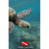 Diver's Log Book: scuba diving log book 100 dives