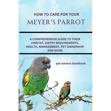How to Care for Your Meyer's Parrot: A Comprehensive Guide to Their Habitat, Dietry Requirements, Health, Management, Pet Ownership and More