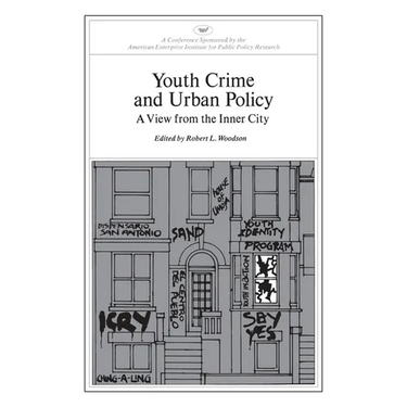 Youth Crime and Urban Policy: A View from the Inner City