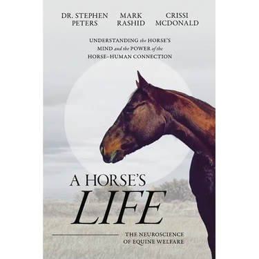 A Horse's Life: The Neuroscience of Equine Welfare