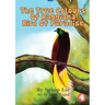 The True Colours Of Raggiana Bird Of Paradise