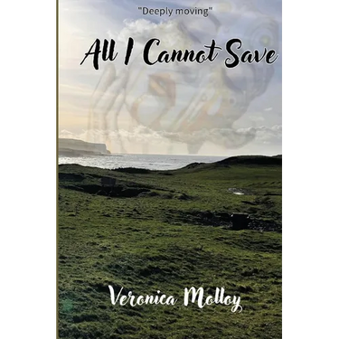 All I Cannot Save