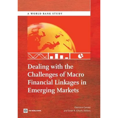 Dealing with the Challenges of Macro Financial Linkages in Emerging Markets
