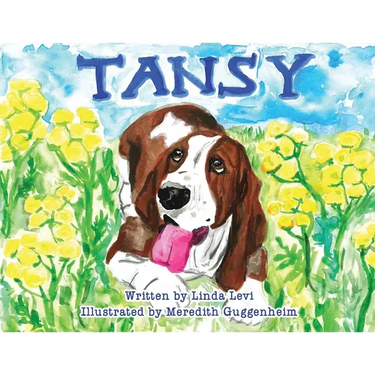 Tansy