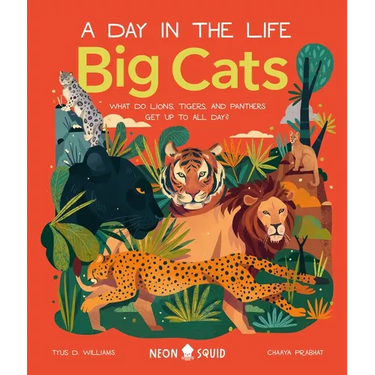 Big Cats (a Day in the Life): What Do Lions, Tigers, and Panthers Get Up to All Day?