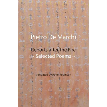Reports after the Fire: Selected Poems