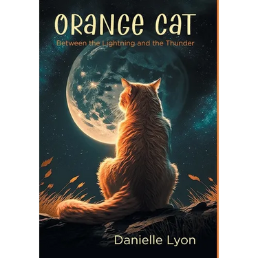 Orange Cat: Between the Lightning and the Thunder