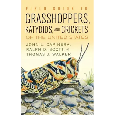 Field Guide to Grasshoppers, Katydids, and Crickets of the United States