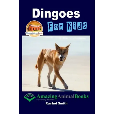 Dingoes For Kids