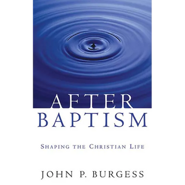 After Baptism: Shaping the Christian Life