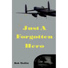 Just A Forgotten Hero