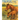 Lilly the Blind Filly