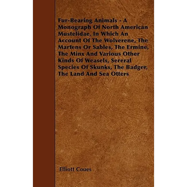 Fur-Bearing Animals - A Monograph Of North American Mustelidae, In Which An Account Of The Wolverene, The Martens Or Sables, The Ermine, The Minx And
