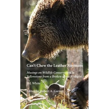 Can't Chew the Leather Anymore: Musings on Wildlife Conservation in Yellowstone from a Broken-down Biologist