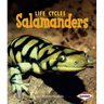 Salamanders