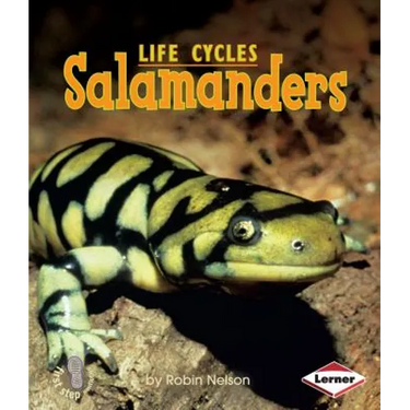 Salamanders
