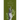 Bodily Salute