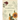 Latin for Gardeners: Over 3,000 Plant Names Explained and Explored