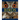 Firefly Encyclopedia of Birds