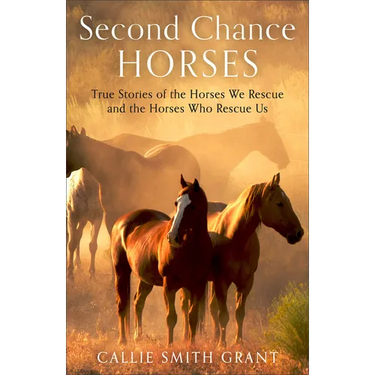 Second-Chance Horses