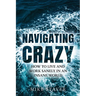 Navigating Crazy: How to Live and Work Sanely in an Insane World