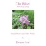 The Bible: A Poetic Journey