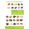 Herb and Spice Seeds: A Pictorial Field Guide