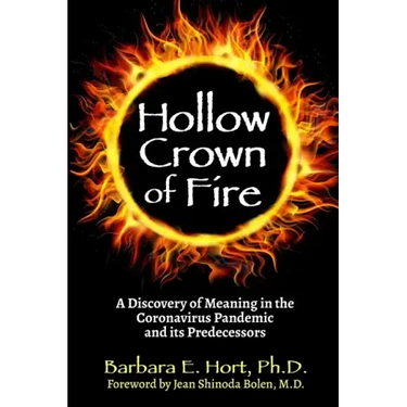 Hollow Crown of Fire: A Discovery of Meaning in the Coronavirus Pandemic and its Predecessors