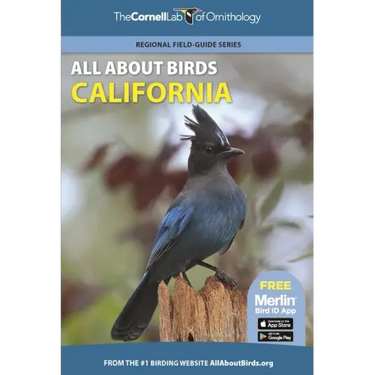 All about Birds California
