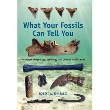 What Your Fossils Can Tell You: Vertebrate Morphology, Pathology, and Cultural Modification