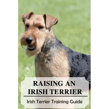Raising An Irish Terrier: Irish Terrier Training Guide: Best Ways To Exercise Your Irish Terrier?