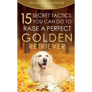 Golden Retriever: 15 Secret Tactics You Can Do To Raise a Perfect Golden Retriever