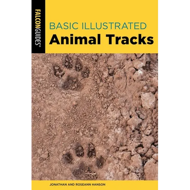 Basic Illustrated Animal Tracks