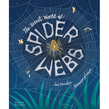 The Secret World of Spiderwebs