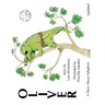 Oliver, A Story About Adoption - Updated