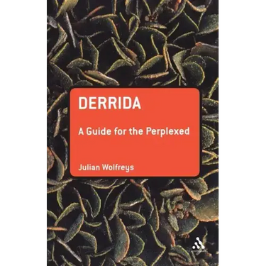 Derrida: A Guide for the Perplexed