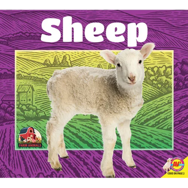 Sheep