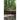 Brown Restless Green