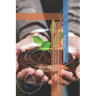 Food Security and Sustainable Development: Advancing Global Food Systems by Integrating Climate Change, Nutrition, Agriculture, Governance, and Trade