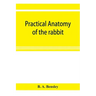 Practical anatomy of the rabbit; an elementary laboratory textbook in mammalian anatomy
