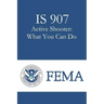IS 907 Active Shooter: What You Can Do