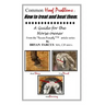 Common Hoof Problems, how to treat & beat them: A guide for the horse owner.