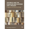 The Brics and the Financing Mechanisms They Created: Progress and Shortcomings