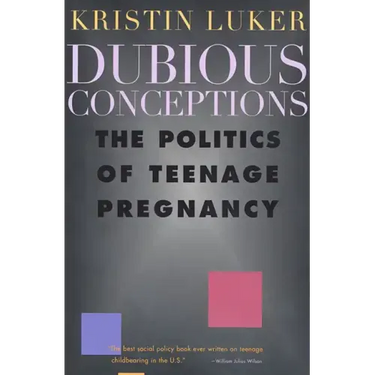 Dubious Conceptions: The Politics of Teenage Pregnancy