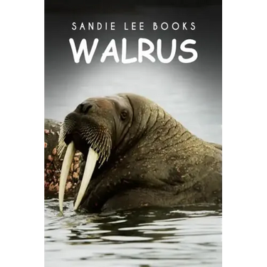 Walrus - Sandie Lee Books