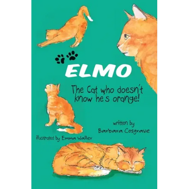 ELMO The Cat who doesn't know he's orange!